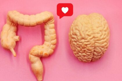 健康超分析: 知られざるオナカの世界