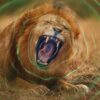 デヴィッド・アッテンボロー: 知られざる音の世界
