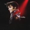 リターン・オブ・ザ・キング: エルヴィス・プレスリー低迷と復活 - Netflix