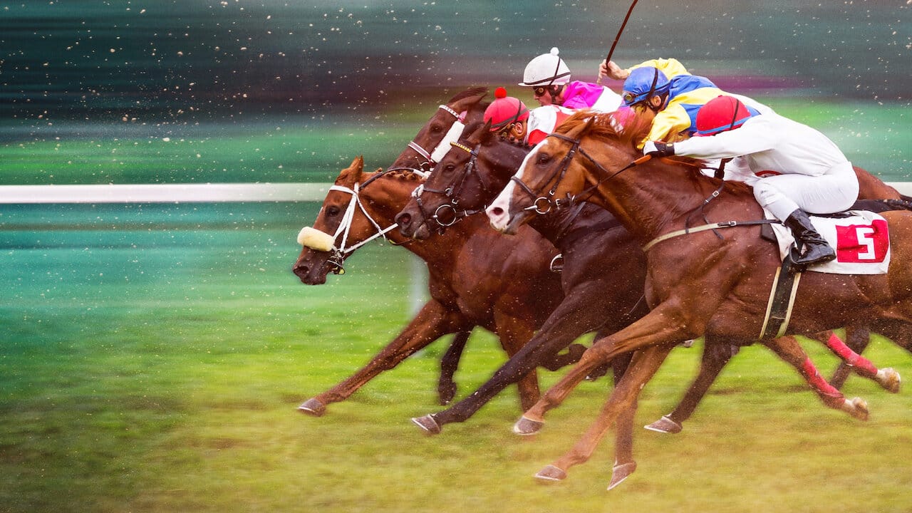 レース・フォー・ザ・クラウン: 華麗なる王たちのスポーツ - Netflix