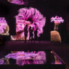 Installation view of FRAMERATE: Desert Pulse. Courtesy of the artist.