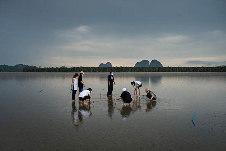 The Current（ストウ）、ジャコモ・ドランドによる写真分析展を開催